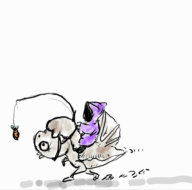 KakaoTalk_20240213_155801655.jpg