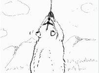 4.png