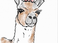 6.png