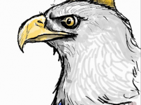11.png