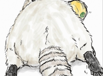 15.png