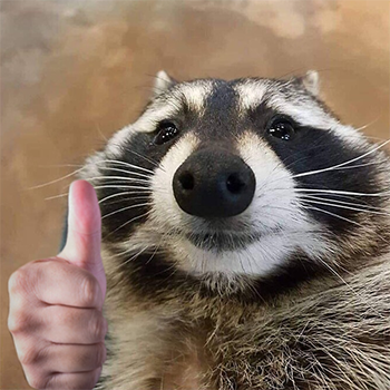 07808423d26ce819771e52fce8333700_1709645724_7499.png