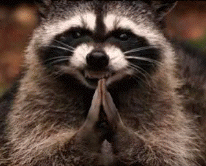 579f4febcd312bba8e7f90bf9830d965_1709449992_5505.gif