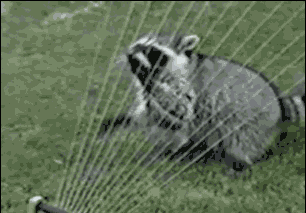 37a6263b201d303ae9455c4797b0eb90_1712904076_388.gif