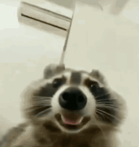 9e338a9a1485ad30629bd43c7d5dd084_1712150032_1296.gif